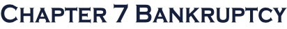 Chapter 7 Bankruptcy